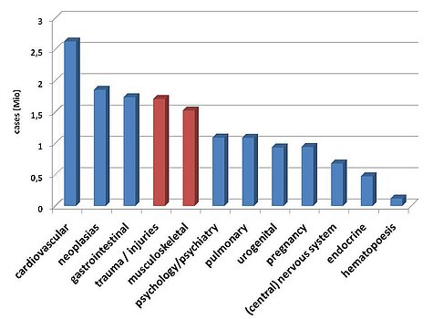 Cases per year by diagnosis for Germany in 2007 with highlighted numbers for musculoskeletal diseases and injuries. (http://www.gbe-bund.de) Cases per year by diagnosis for Germany in 2007 with highlighted numbers for musculoskeletal diseases and injuries. (http://www.gbe-bund.de)
